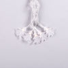 (HO-XMAS-014-IP20-1,5M-CW_HO-XMAS-014-IP20-1,5M-WW_variantImg_ho_xmas_014_ip20_15m_ww_2.jpeg)