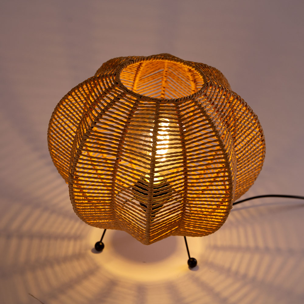 (SKD-T-2009_padreImg_skd_t_2009_4.jpeg)