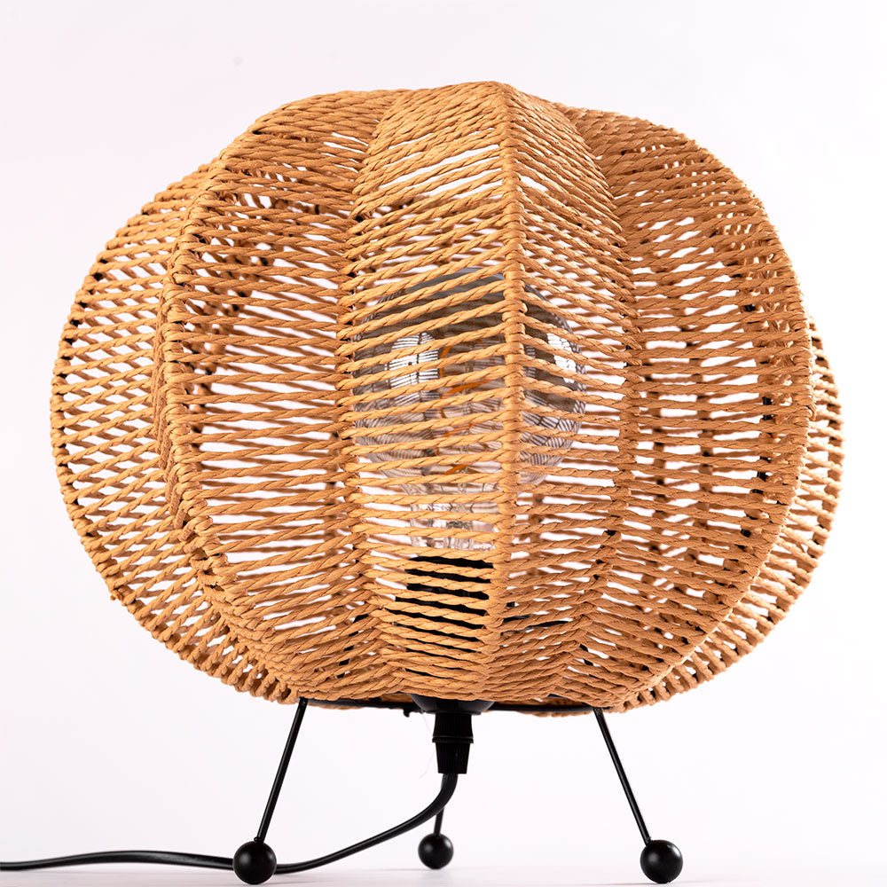 (SKD-T-2009_padreImg_skd_t_2009_2.jpeg)