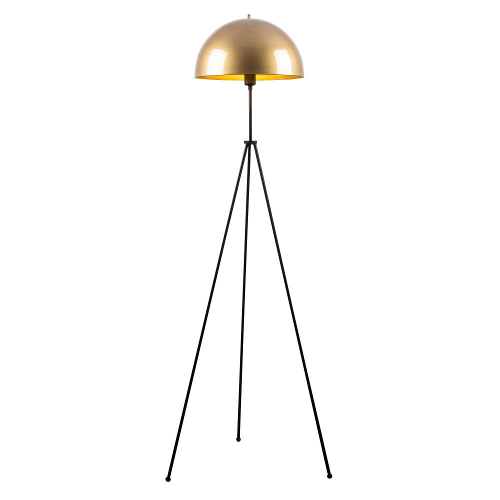 (OPV-521SHN1528_padreImg_opv_521shn1528_5.jpeg)