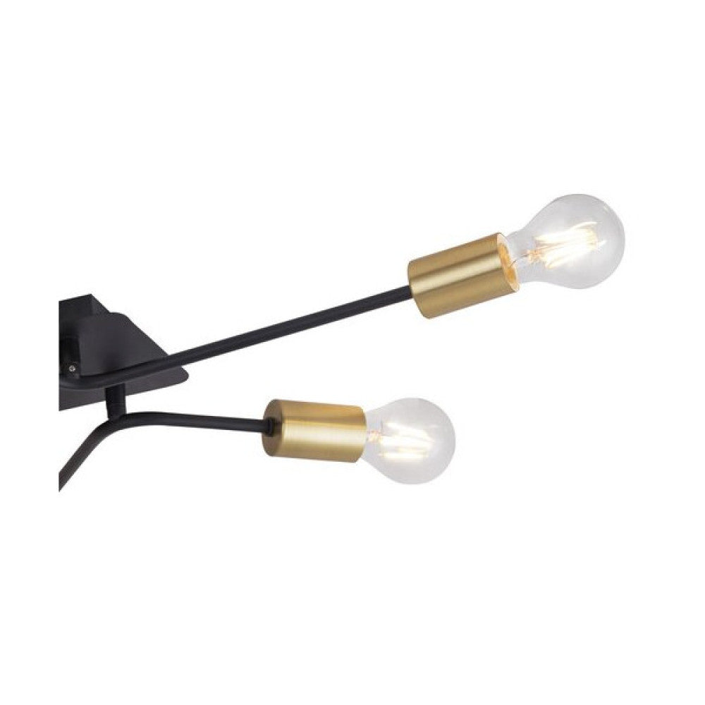 (RAB-2103_padreImg_rab_2103_2.jpeg)