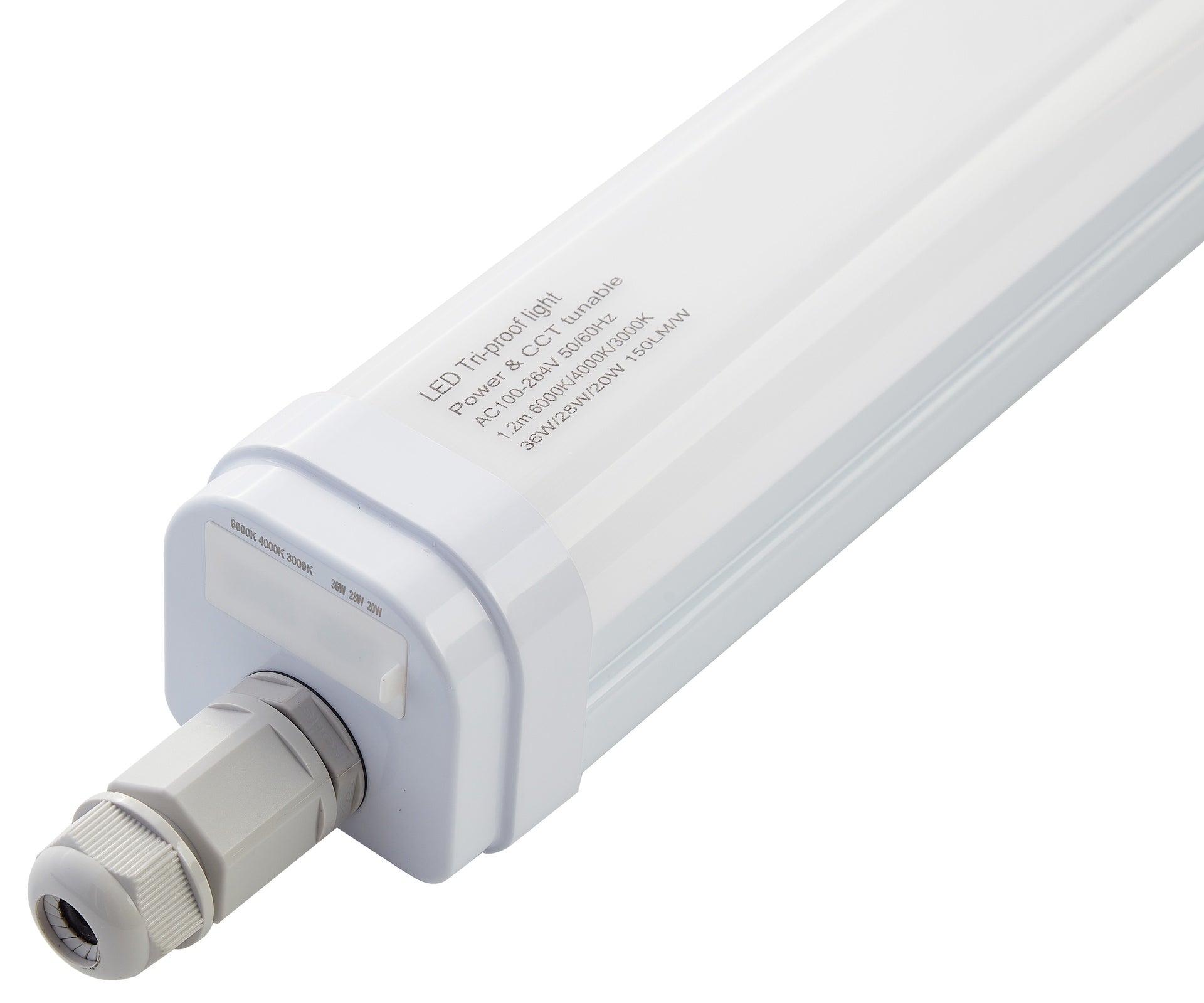 (1916-TRL36W-160LM-L-CCT_padreImg_1916_trl36w_160lm_l_cct_4.jpeg)