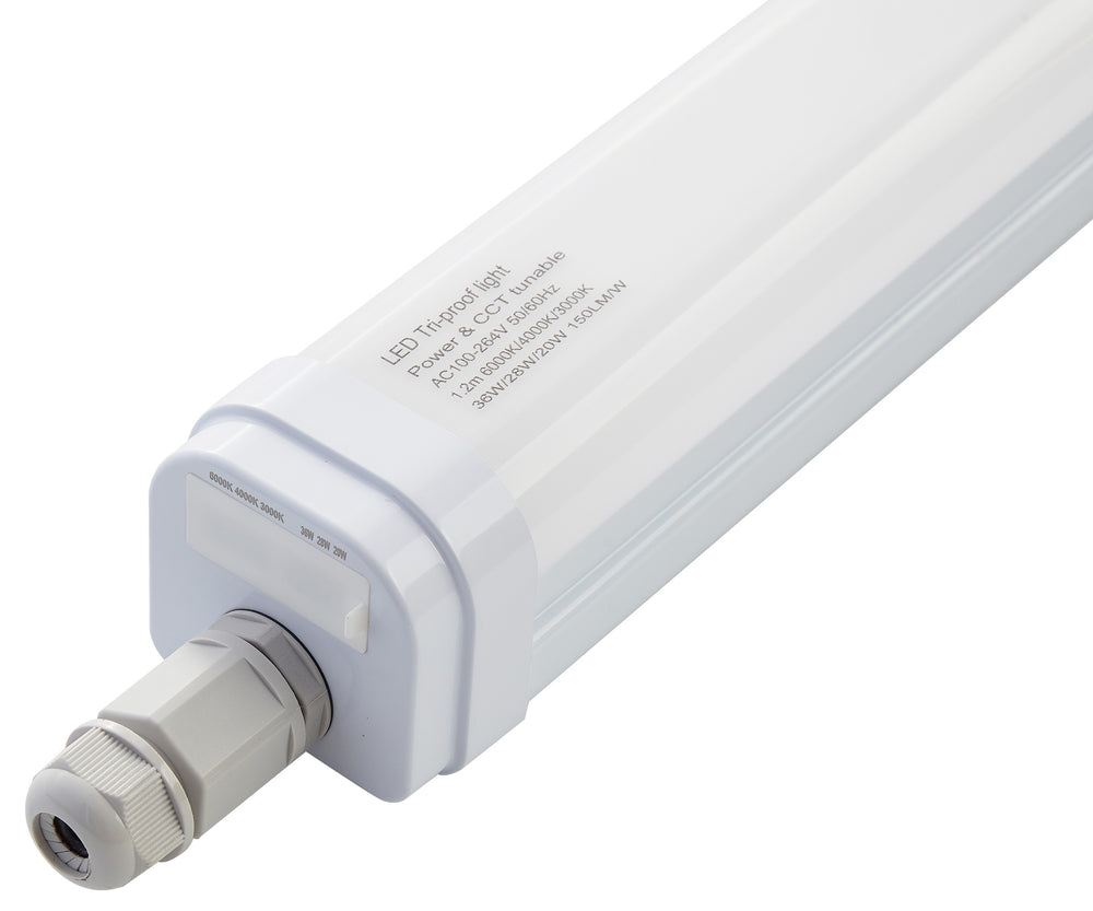 (1916-TRL36W-160LM-L-CCT_padreImg_1916_trl36w_160lm_l_cct_4.jpeg)