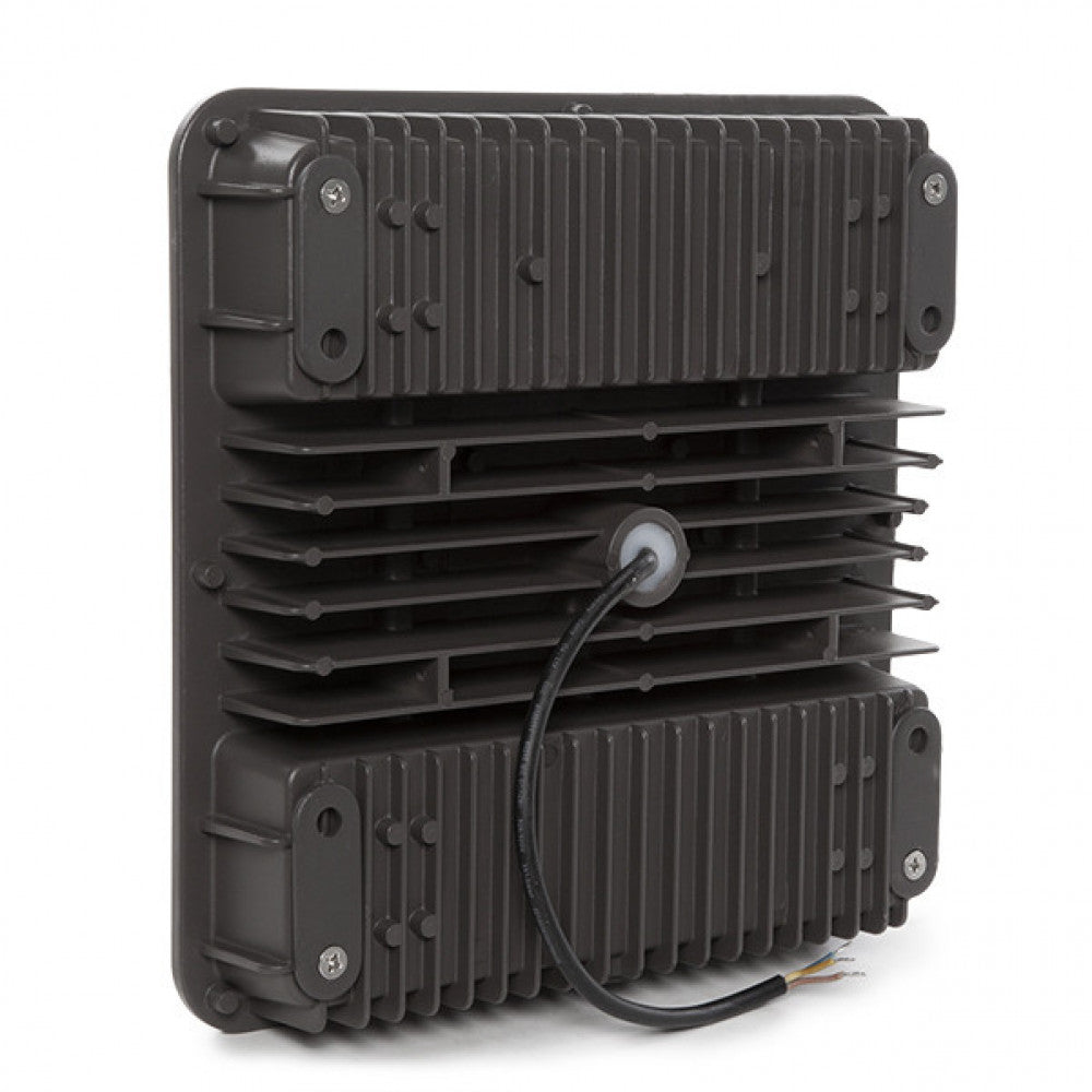 (CP01-XX04-CW_padreImg_cp01_xx04_cw_2.jpeg)