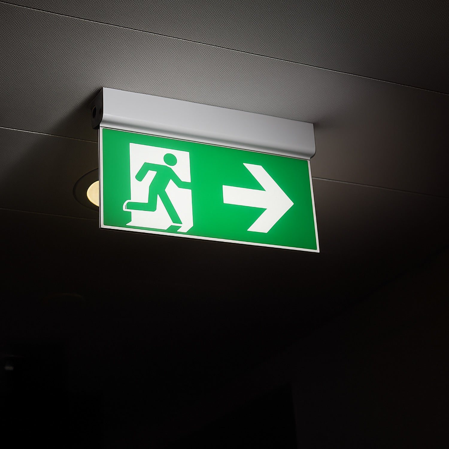 (L701M_padreImg_l701m_2.jpeg)