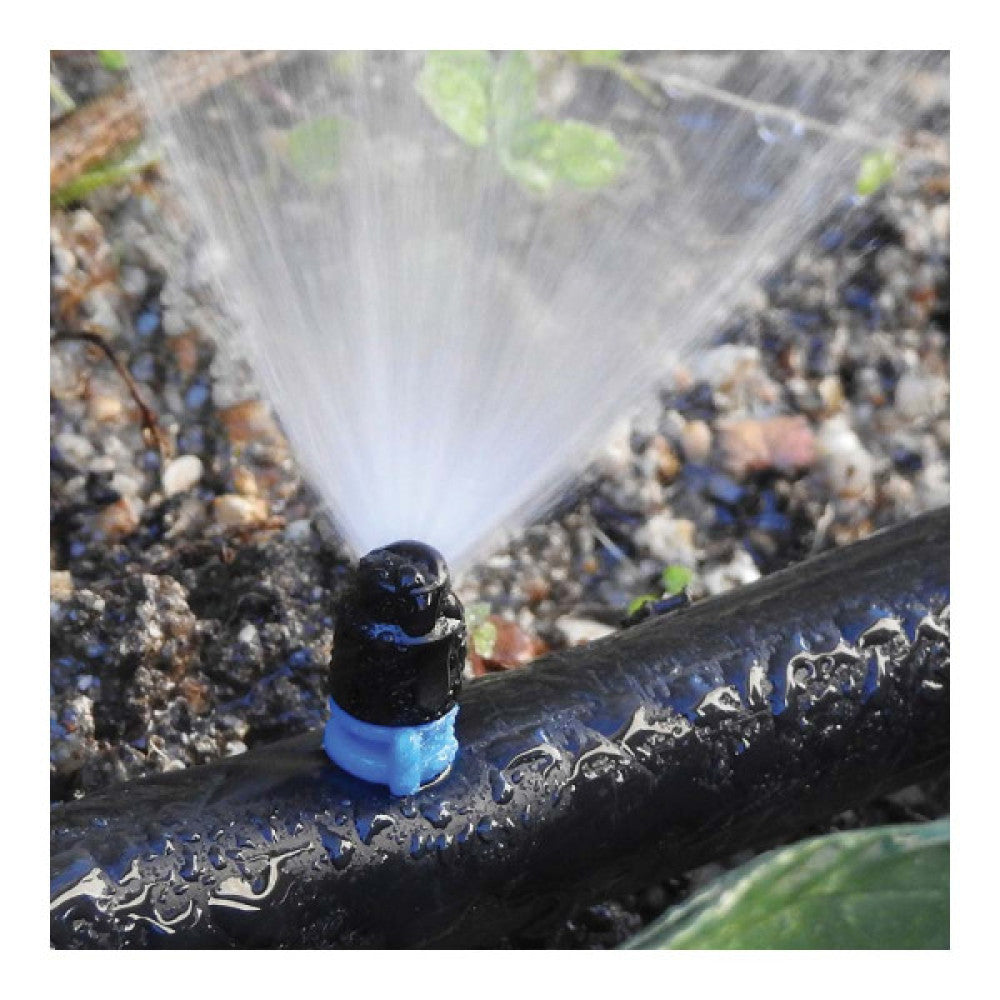 (E3-74523_padreImg_e3_74523_1.jpeg)