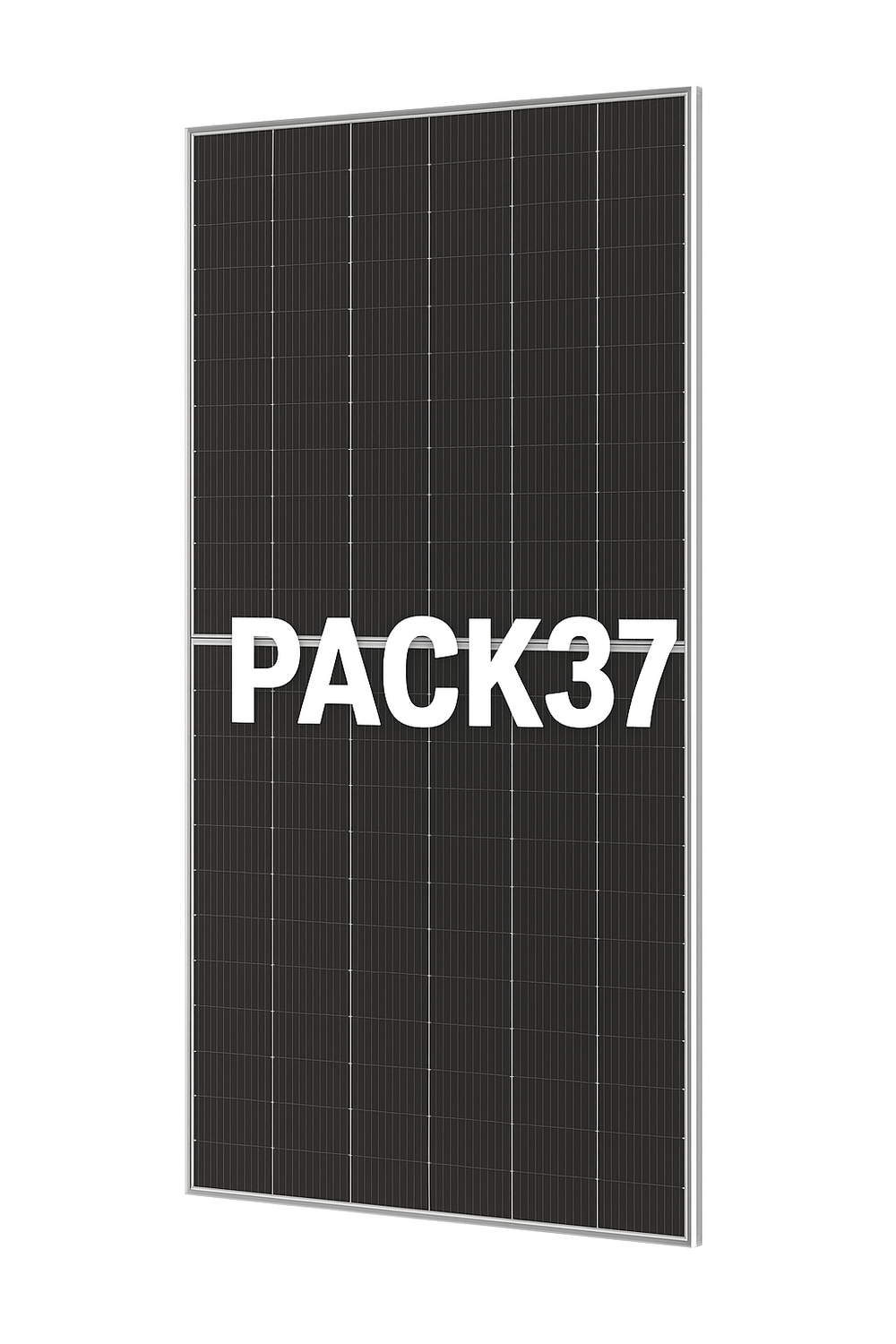 (SSF-02433_padreImg_ssf_02433_0.png)