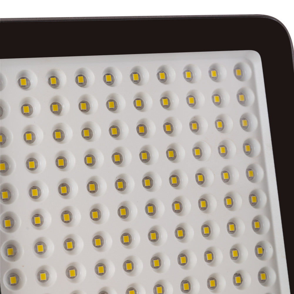 (1916-FL-EC-100W-CW_padreImg_1916_fl_ec_100w_cw_1.jpeg)