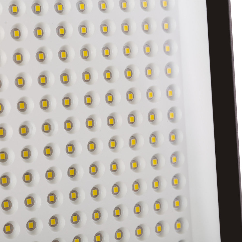 (1916-FL-EC-200W-CW_padreImg_1916_fl_ec_200w_cw_1.jpeg)