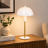 (SKD-T1007_padreImg_skd_t1007_0.png)