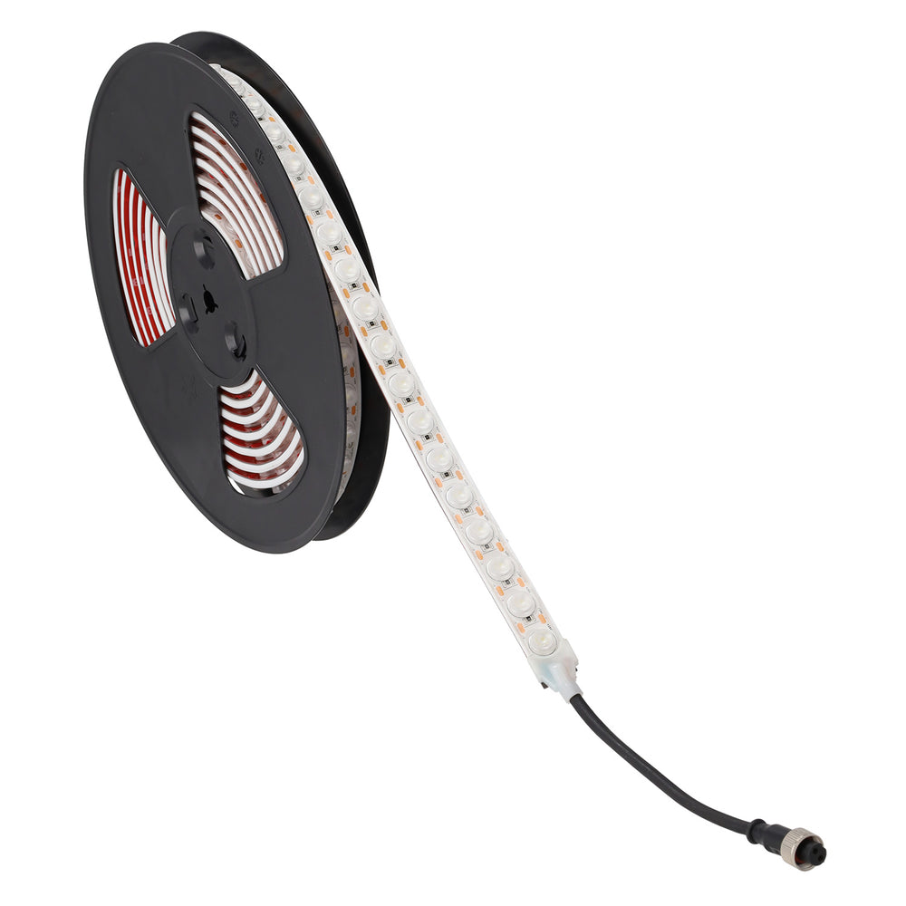 (SKY-2110FW2835-42-24V-CW_padreImg_sky_2110fw2835_42_24v_cw_1.jpeg)