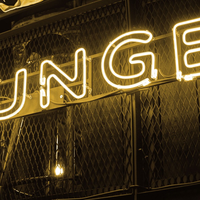 (SKY-FSL5050-96-RGBW_padreImg_sky_fsl5050_96_rgbw_2.jpeg)