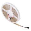 (SKY-FSLCOB-360L-10MM-CW-IP65_padreImg_sky_fslcob_360l_10mm_cw_ip65_4.jpeg)