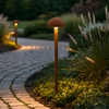 (SL-MB25-020206-BO_padreImg_sl_mb25_020206_bo_0.png)