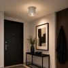 (SOL-SL.0695_padreImg_sol_sl_0695_0.png)