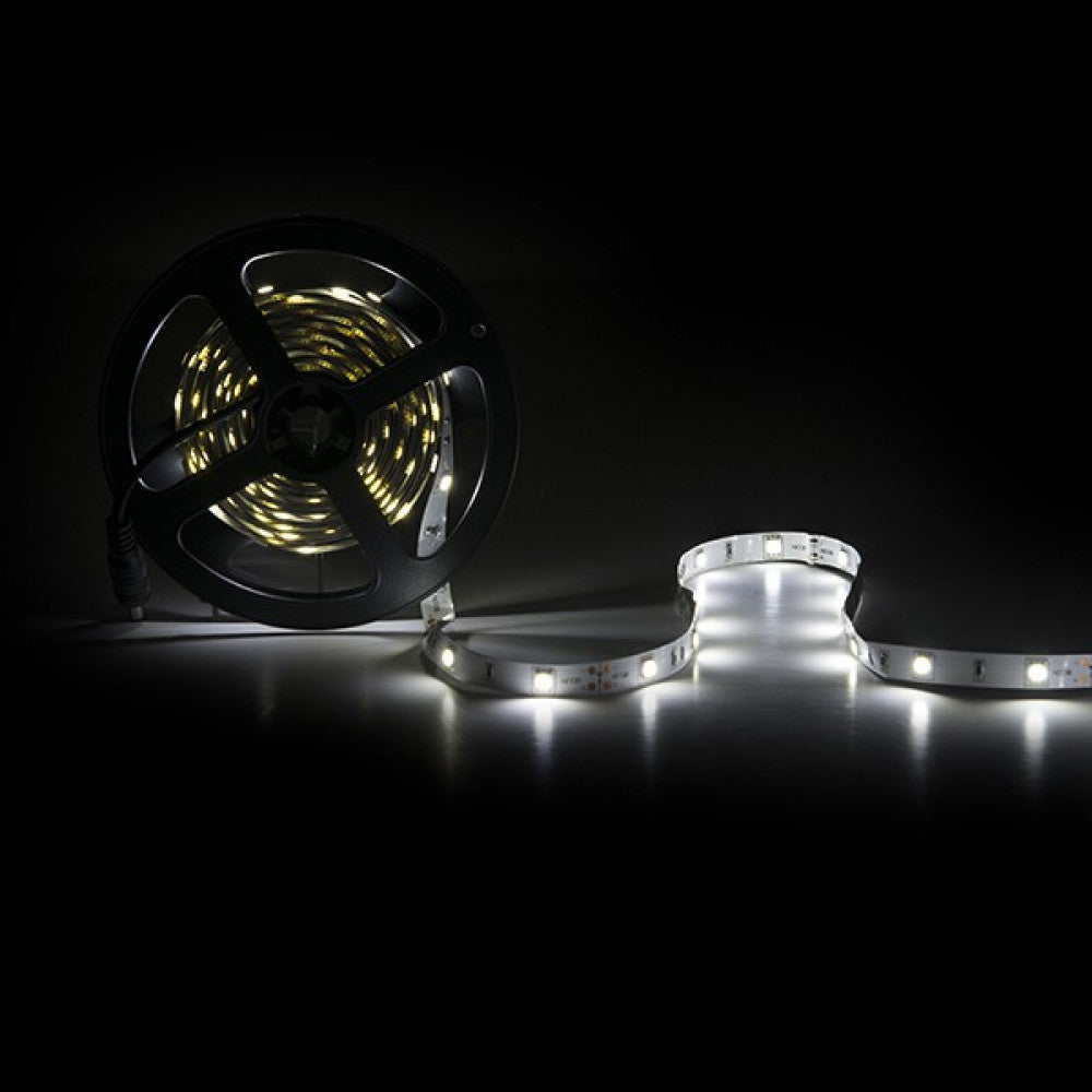 (PL219007W_padreImg_pl219007w_2.jpeg)