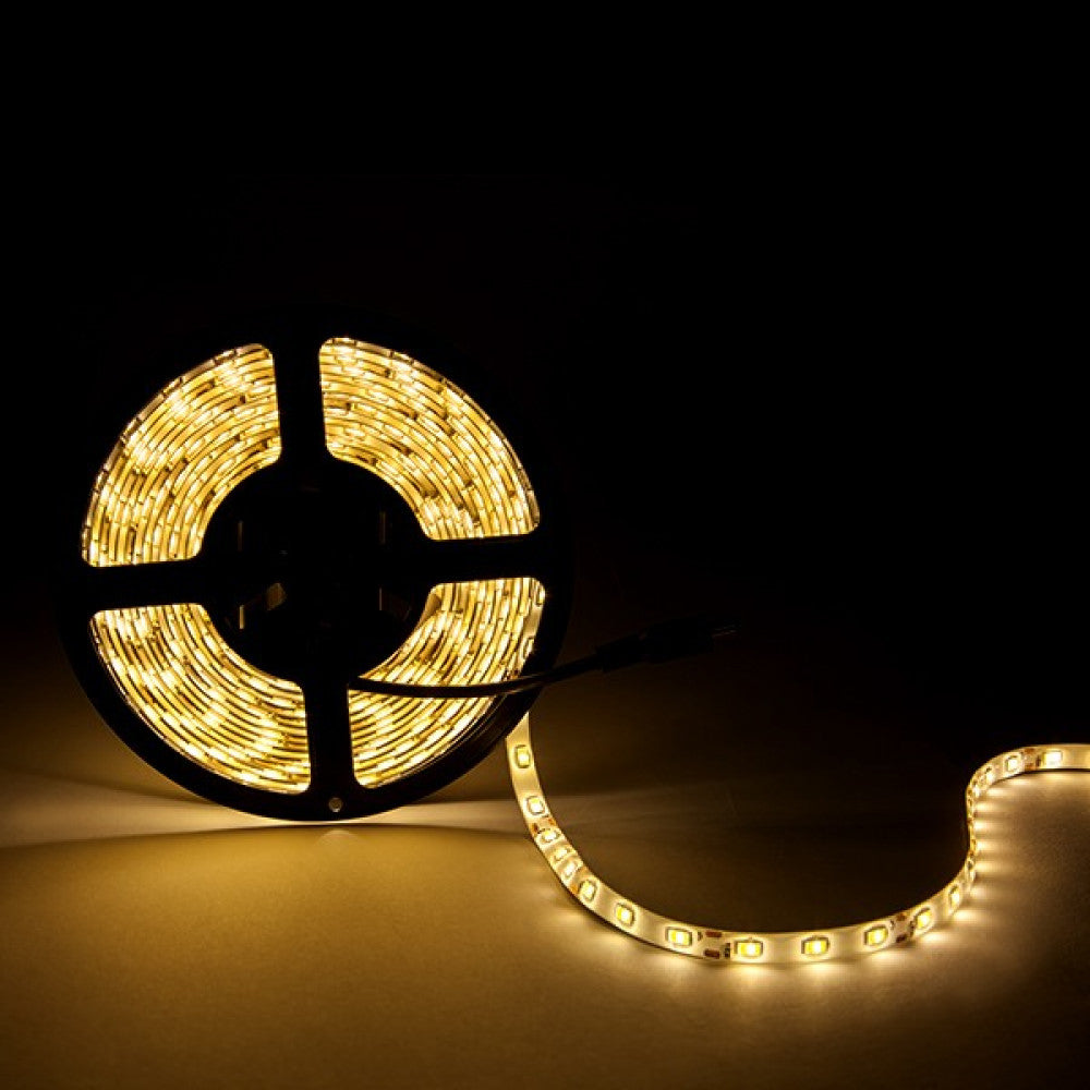 (CA-PL219010-CW_padreImg_ca_pl219010_cw_2.jpeg)