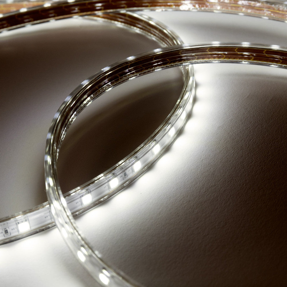 (HO-220-60-50M-CW_padreImg_ho_220_60_50m_cw_11.jpeg)