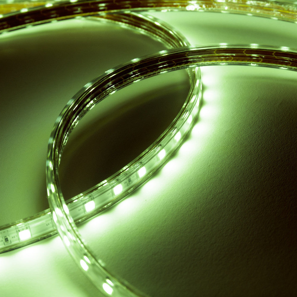 (HO-220-60-50M-CW_padreImg_ho_220_60_50m_cw_8.jpeg)