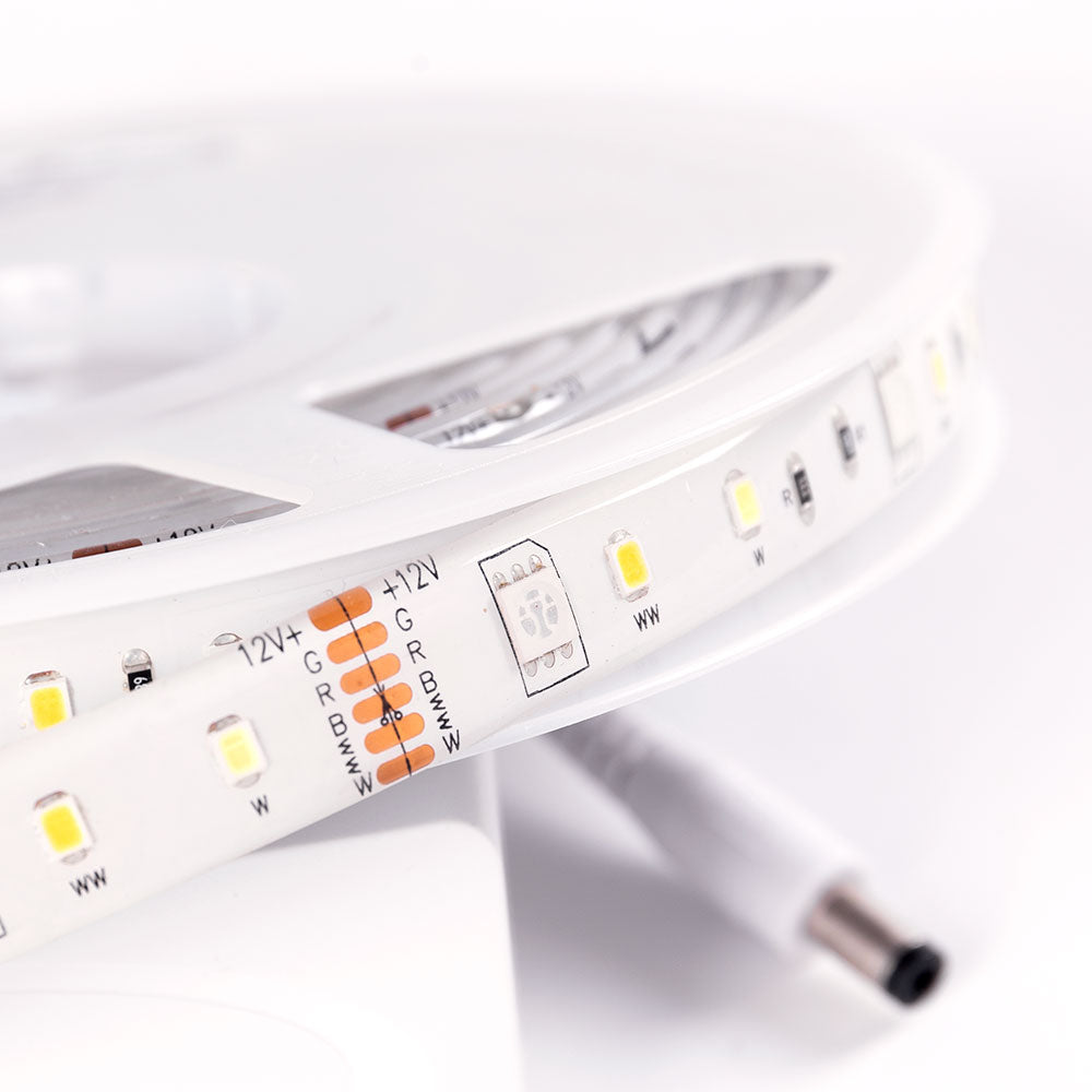 (TYWPC6-25T5_padreImg_tywpc6_25t5_2.jpeg)