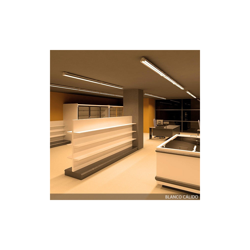 (HO-T8RDDG23W-CW-T_padreImg_ho_t8rddg23w_cw_t_1.jpeg)